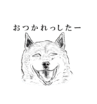 みかん猫とマーガリン犬と時々モロヘイヤ馬（個別スタンプ：21）