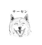 みかん猫とマーガリン犬と時々モロヘイヤ馬（個別スタンプ：22）