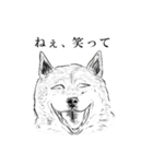 みかん猫とマーガリン犬と時々モロヘイヤ馬（個別スタンプ：23）