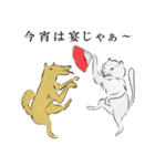 みかん猫とマーガリン犬と時々モロヘイヤ馬（個別スタンプ：39）