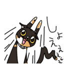 三毛猫ゔぃちゃんの日常（個別スタンプ：2）