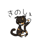 三毛猫ゔぃちゃんの日常（個別スタンプ：3）