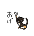 三毛猫ゔぃちゃんの日常（個別スタンプ：5）