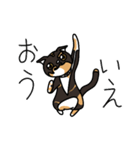 三毛猫ゔぃちゃんの日常（個別スタンプ：7）