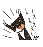 三毛猫ゔぃちゃんの日常（個別スタンプ：8）