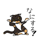 三毛猫ゔぃちゃんの日常（個別スタンプ：9）