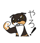 三毛猫ゔぃちゃんの日常（個別スタンプ：10）