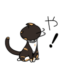 三毛猫ゔぃちゃんの日常（個別スタンプ：11）