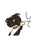 三毛猫ゔぃちゃんの日常（個別スタンプ：12）