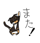 三毛猫ゔぃちゃんの日常（個別スタンプ：14）