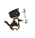 三毛猫ゔぃちゃんの日常（個別スタンプ：17）