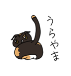 三毛猫ゔぃちゃんの日常（個別スタンプ：18）