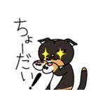三毛猫ゔぃちゃんの日常（個別スタンプ：19）
