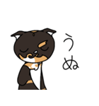 三毛猫ゔぃちゃんの日常（個別スタンプ：21）