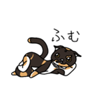 三毛猫ゔぃちゃんの日常（個別スタンプ：22）
