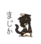 三毛猫ゔぃちゃんの日常（個別スタンプ：25）