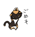 三毛猫ゔぃちゃんの日常（個別スタンプ：28）
