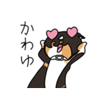 三毛猫ゔぃちゃんの日常（個別スタンプ：29）