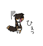 三毛猫ゔぃちゃんの日常（個別スタンプ：31）