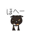 三毛猫ゔぃちゃんの日常（個別スタンプ：33）