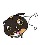 三毛猫ゔぃちゃんの日常（個別スタンプ：34）