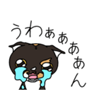 三毛猫ゔぃちゃんの日常（個別スタンプ：35）