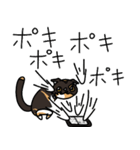三毛猫ゔぃちゃんの日常（個別スタンプ：36）