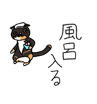 三毛猫ゔぃちゃんの日常（個別スタンプ：37）