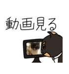 三毛猫ゔぃちゃんの日常（個別スタンプ：38）