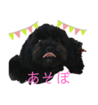 フラン スタンプ（個別スタンプ：4）