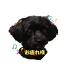フラン スタンプ（個別スタンプ：6）