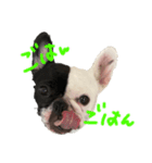 mmt stp（個別スタンプ：5）