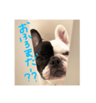 mmt stp（個別スタンプ：7）