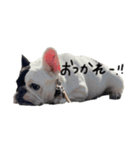 mmt stp（個別スタンプ：8）