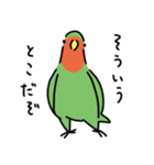 コザクラインコのとりもも（個別スタンプ：5）