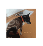 マンです！！！！（個別スタンプ：4）