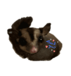 BabyJILL（個別スタンプ：2）