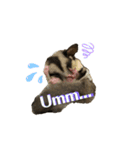 BabyJILL（個別スタンプ：7）