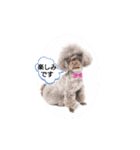 三葵（個別スタンプ：4）