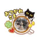 三葵（個別スタンプ：8）