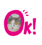 顔色々あります（個別スタンプ：4）
