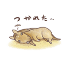 ちびうま♪〜自由な馬のすたんぷ〜（個別スタンプ：11）