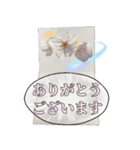 お花でフォーマル挨拶（個別スタンプ：2）