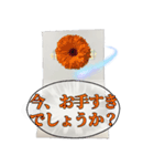お花でフォーマル挨拶（個別スタンプ：5）