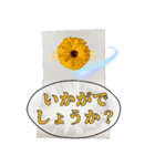 お花でフォーマル挨拶（個別スタンプ：6）