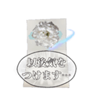 お花でフォーマル挨拶（個別スタンプ：10）