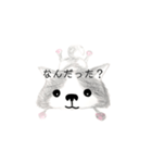 秋田犬、スイッチョフ（個別スタンプ：21）