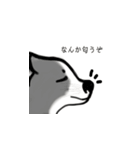 秋田犬、スイッチョフ（個別スタンプ：23）