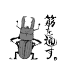 ヒラタクワガタ（個別スタンプ：3）