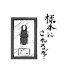 ヒラタクワガタ（個別スタンプ：5）